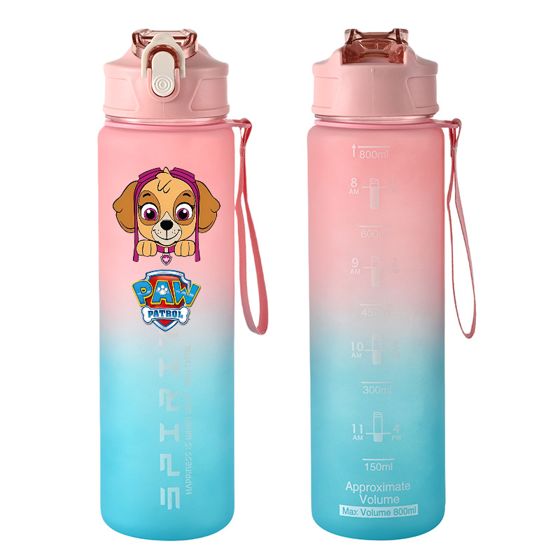 800ml PAW Patrol Sports Water  - Kids Outdoor Gym recension och pris
